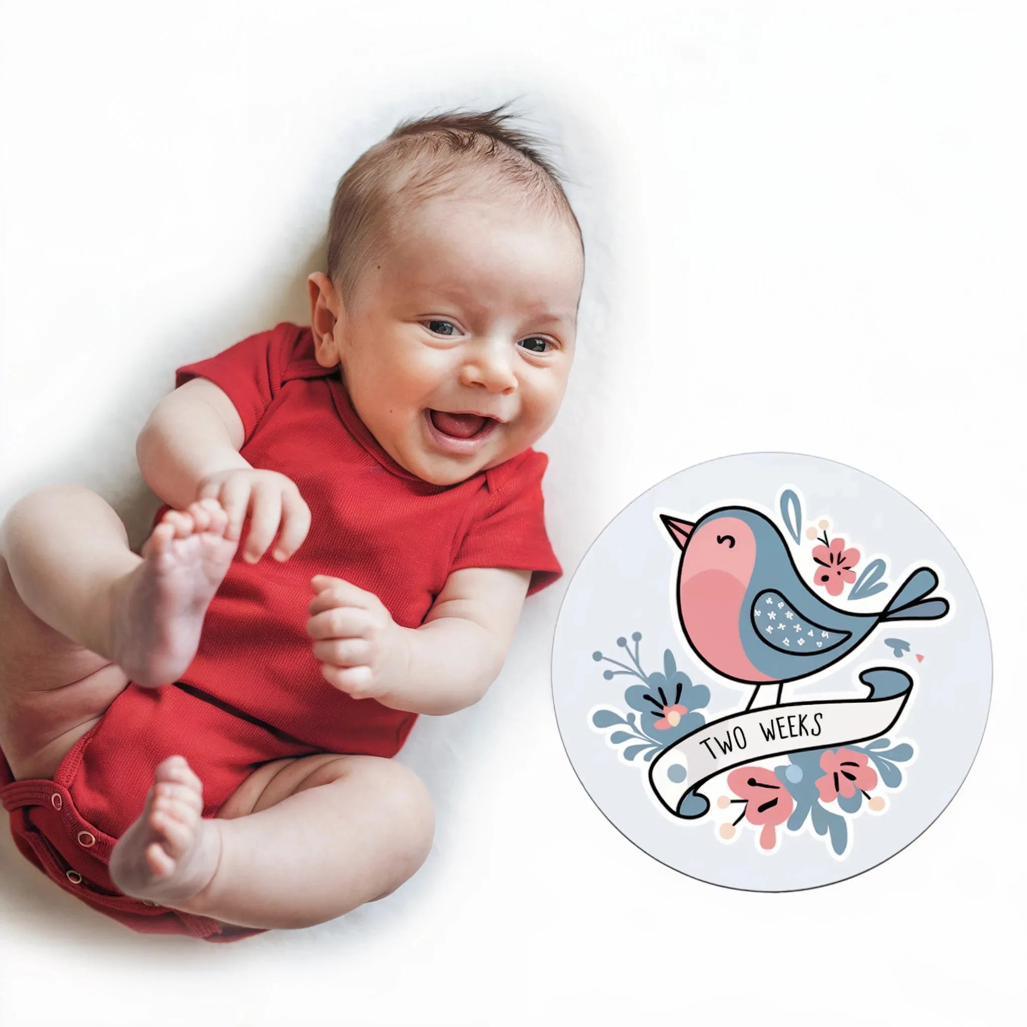 Baby Month Stickers & Milestone Labels | iCustomLabel