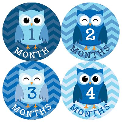 Blue Owl Baby Month Stickers