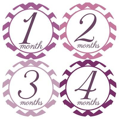 Chevron Purple Baby Month Stickers
