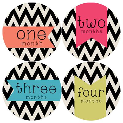 Chic Chevron Flag  Baby Month Stickers
