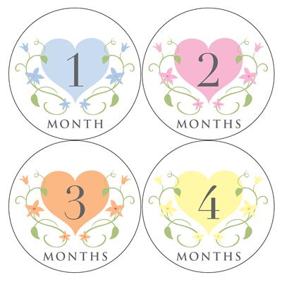 Floral Heart Baby Month Stickers