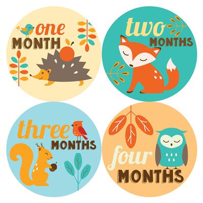 Forest Fall Baby Month Stickers