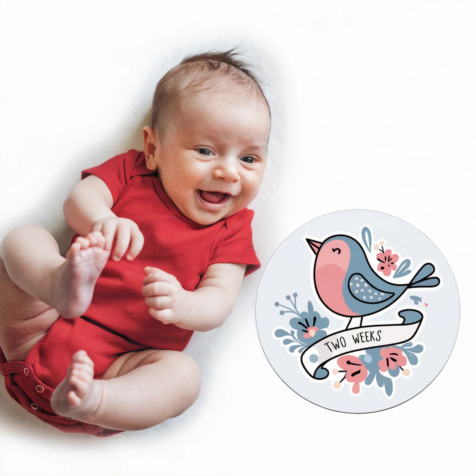 Baby Month Stickers