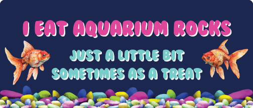 I Eat Aquarium Rocks Magnet Bumper Sticker