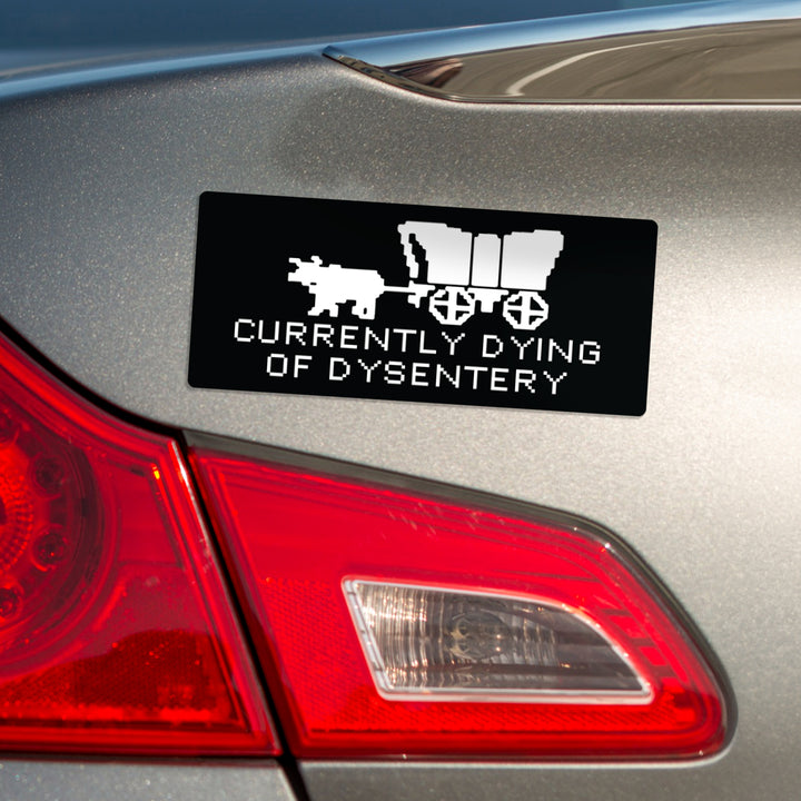 Dying of Dysentery Magnet Bumper Sticker