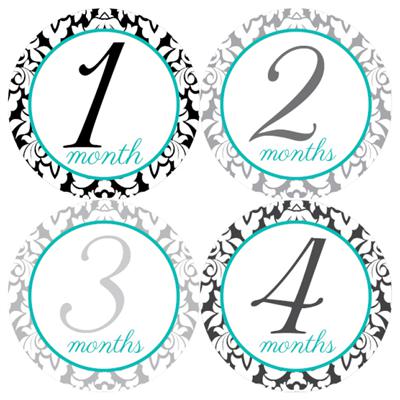 Blue Damask Baby Month Stickers