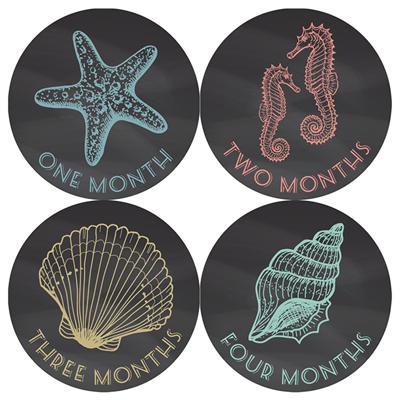 Chalkboard Nautical Baby Month Stickers