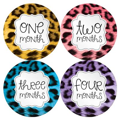 Cheetah Print Baby Month Stickers