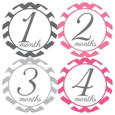 Chevron Pink Gray Script  Baby Month Stickers