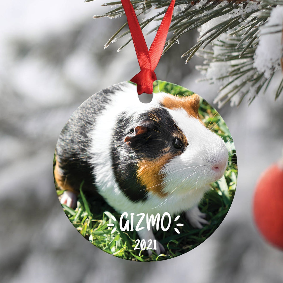 Critter Christmas Ornament
