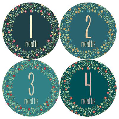 Floral Circle Small Flowers Baby Month Stickers
