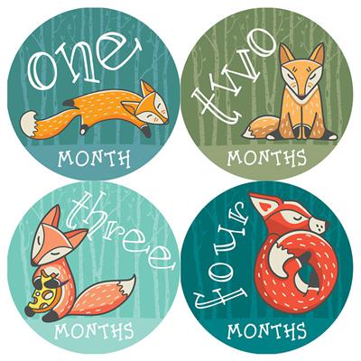 Fox Baby Month Stickers
