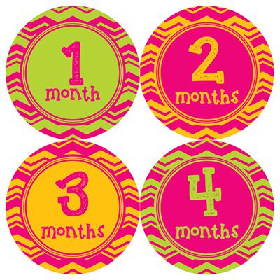 Fun Chevron Girl Baby Month Stickers