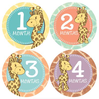 Giraffe Baby Month Stickers
