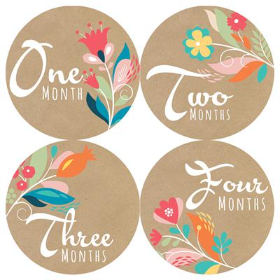 Indie Flower Craft Baby Month Stickers