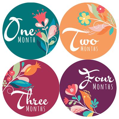 Indie Flowers Baby Month Stickers