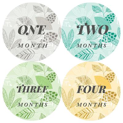 Leaf Pattern Baby Month Stickers