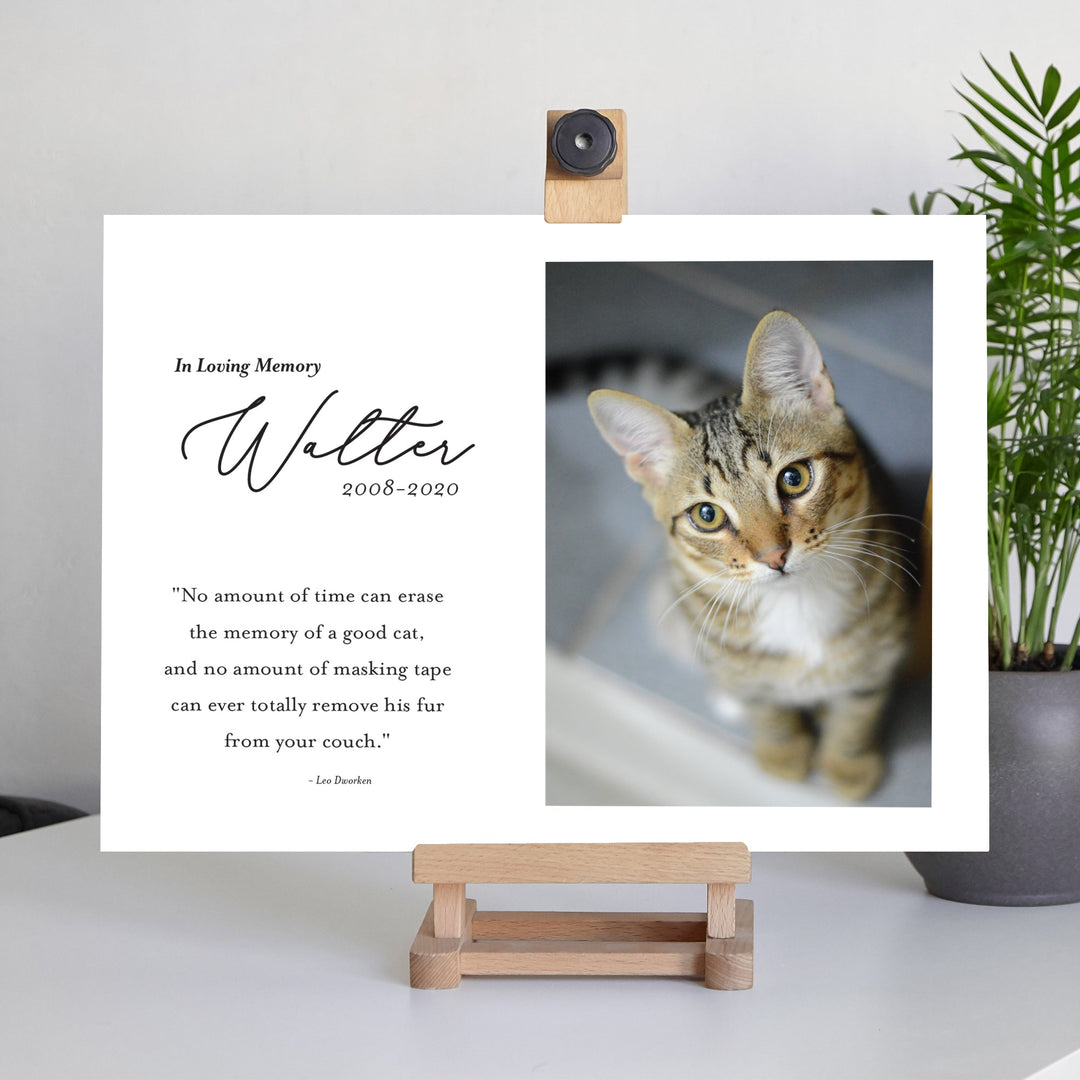 Loving Cat Photo Memorial Sign