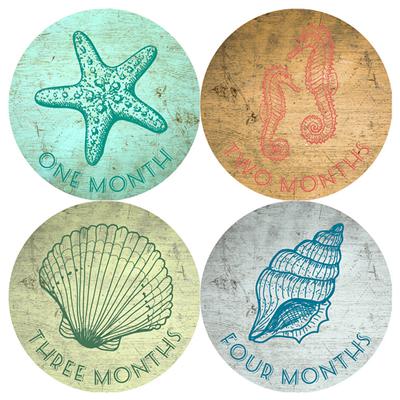 Nautical Baby Month Stickers