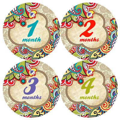 Paisley Pattern Baby Month Stickers