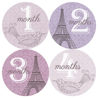 Paris Purple Baby Month Stickers