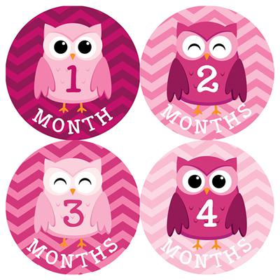 Pink Owl Baby Month Stickers