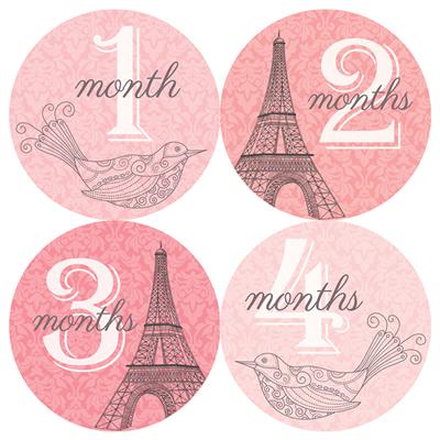 Pink Paris Bird Baby Month Stickers