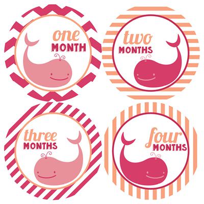 Pink Whale Baby Month Stickers