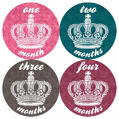 Princess Baby Month Stickers