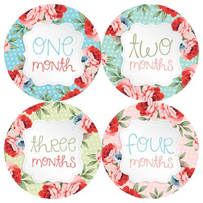 Vintage Flower Polka Dots Baby Month Stickers