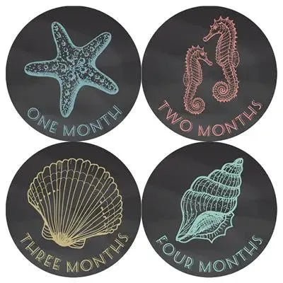 Chalkboard Nautical Baby Month Stickers - iCustomLabel