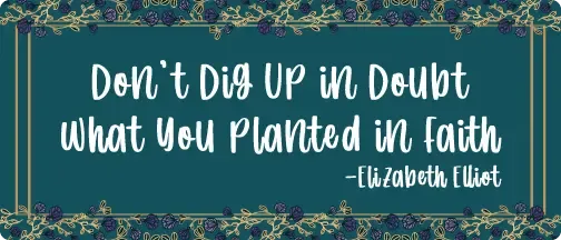 Don't Dig Up In Doubt Magnet Bumper Sticker - iCustomLabel