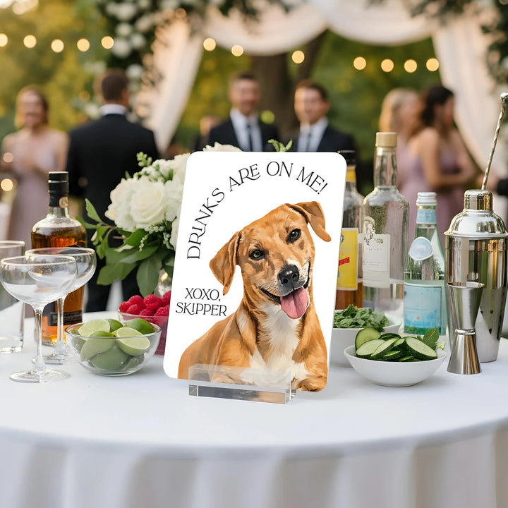 Drinks on Me Pet Wedding Bar Sign