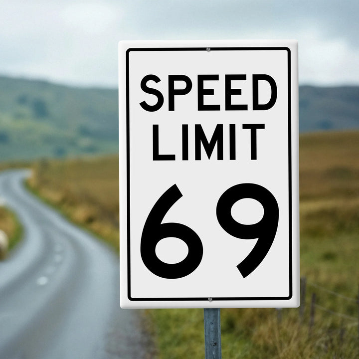 Humorous metal speed limit sign showing 69 on a rural road with blurred hills background