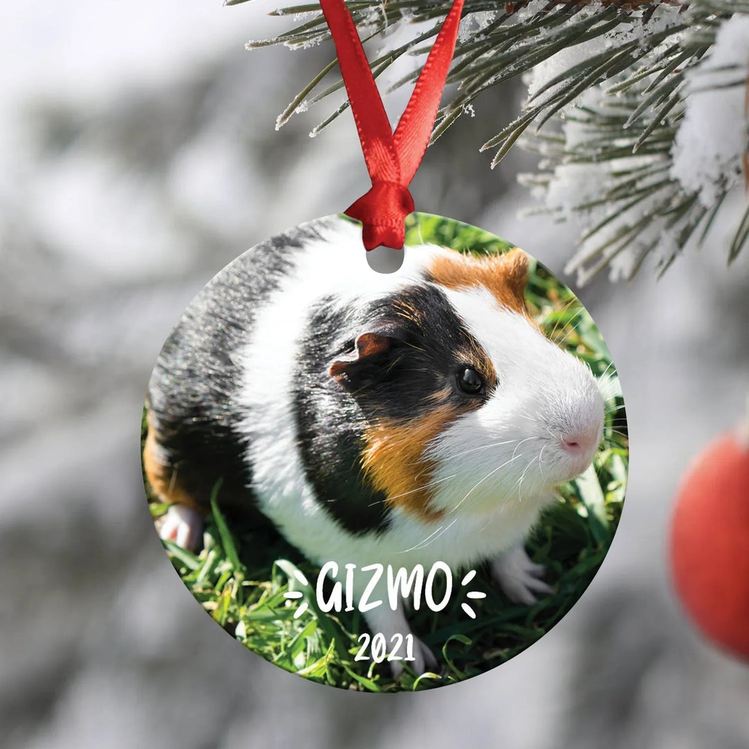 Guinea Pig Christmas Ornament - iCustomLabel