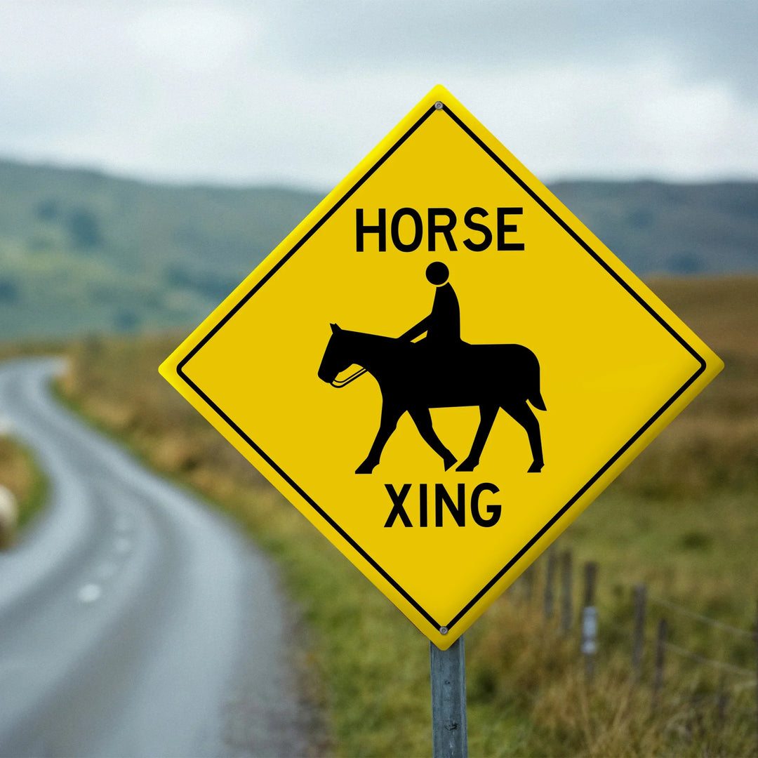 Yellow horse crossing sign with rider silhouette on rural road with grassy hills