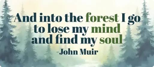 Into The Forest Magnet Bumper Sticker - iCustomLabel