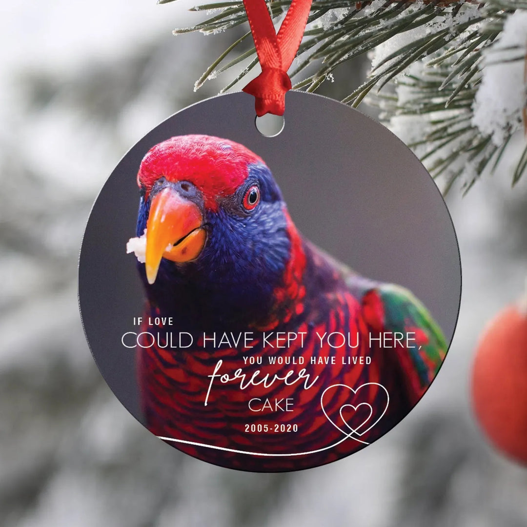 Pet Love Memorial Christmas Ornament - iCustomLabel