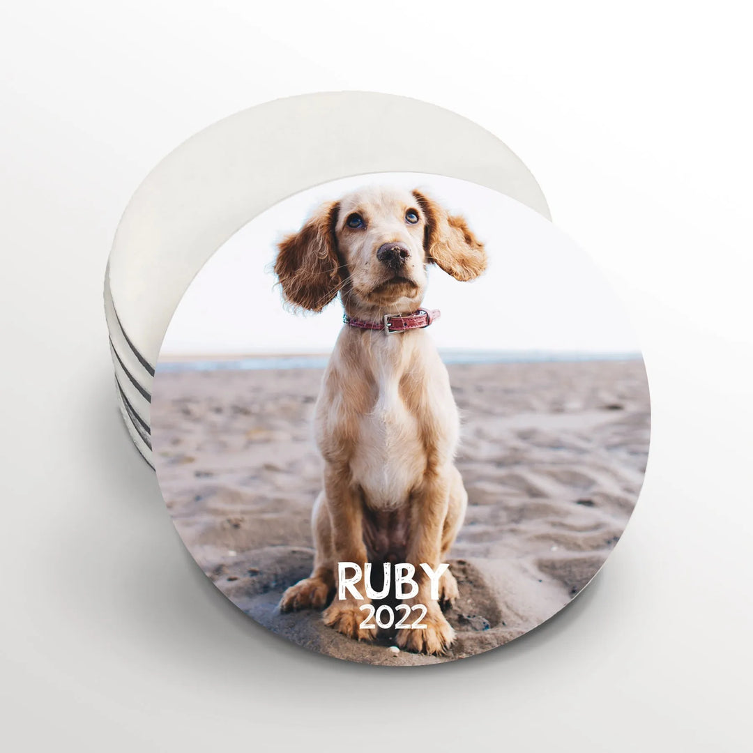 Pet Photo Round Coasters - iCustomLabel