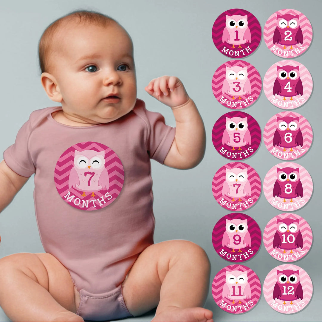 Pink Owl Baby Month Stickers - iCustomLabel