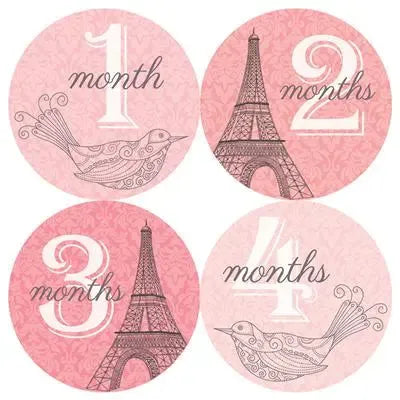 Pink Paris Bird Baby Month Stickers - iCustomLabel