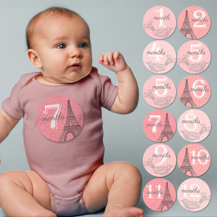 Pink Paris Bird Baby Month Stickers - iCustomLabel