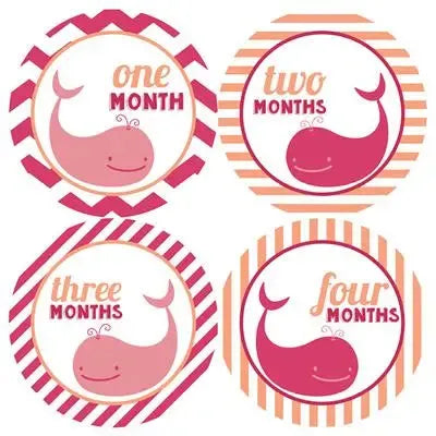 Pink Whale Baby Month Stickers - iCustomLabel
