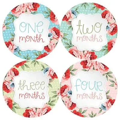 vintage flower polka dot baby month milestone stickers labeled one to four months